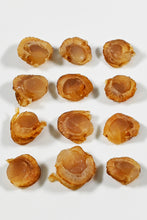 画像をギャラリービューアに読み込む, 【送料無料】つまみ蔵 浜焼きほたて貝 145g 訳あり