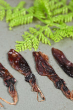 画像をギャラリービューアに読み込む, 国産 焼きほたるいか 200g 魚醤漬け おつまみ 濃厚 ホタルイカ 北海道加工