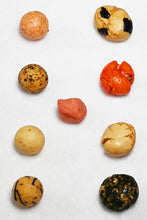 画像をギャラリービューアに読み込む, 【送料無料】つまみ蔵 豆菓子ミックス 750g 大容量 訳あり