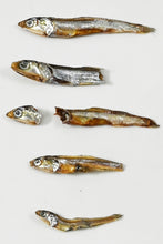 画像をギャラリービューアに読み込む, [ つまみ蔵 公式 ] 食塩不使用 国産 焼き いわし 400g 「 カルシウム が摂れる 小魚 おやつ 片口 イワシ 」 珍味 焼きめざし にぼし ( つまみ や おやつ に ) タンパク質 お菓子 千成商会
