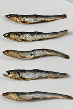 画像をギャラリービューアに読み込む, [ つまみ蔵 公式]国産香ばし本 焼きめざし 1kg「化学調味料・保存料不使用の 小魚 珍味 めざし 」 カルシウム お菓子 こざかな ( 業務用 の おやつ や おつまみ に) いわし 駄菓子 千成商会
