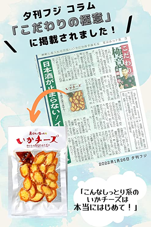 チーズ イカ つまみ 【北海道産 カマンベールチーズ入りでやわらか食感